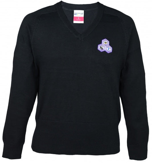 Blackwood Comprehensive boys Jumper