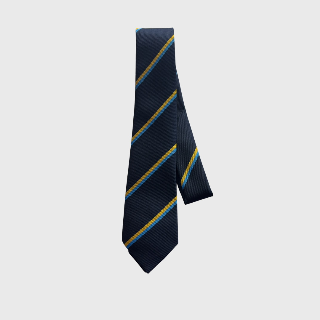Newbridge Comprehensive Tie